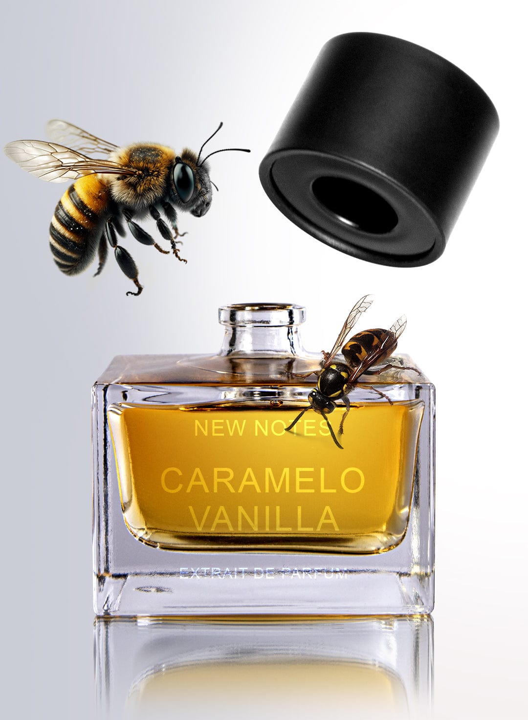 Caramelo Vanilla New Notes Extrait de Parfum 50 ml - ambientata