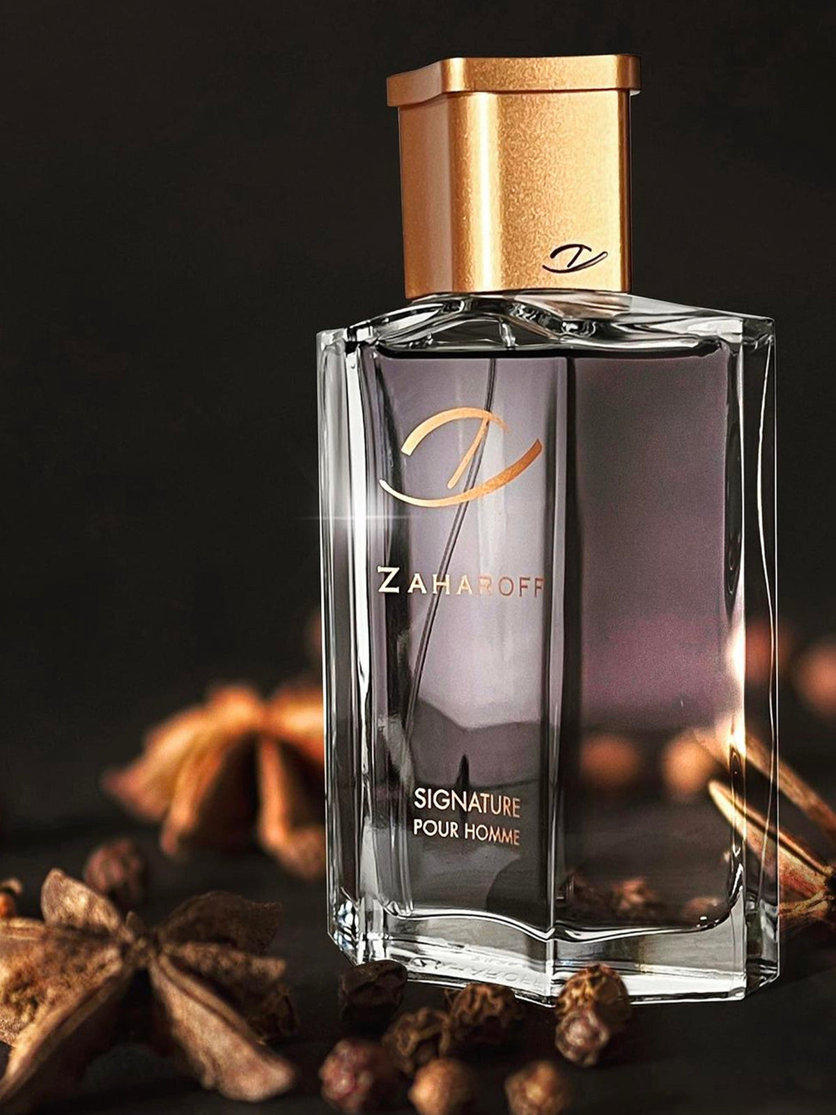 Signature Pour Homme Zaharoff Eau de Parfum 120 ml - image 2